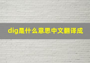 dig是什么意思中文翻译成