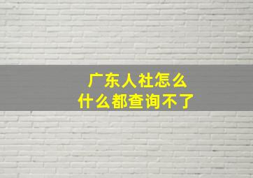 广东人社怎么什么都查询不了