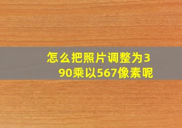 怎么把照片调整为390乘以567像素呢