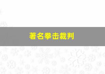 著名拳击裁判